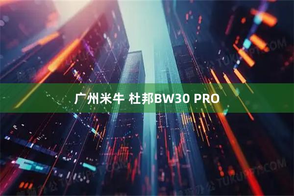 广州米牛 杜邦BW30 PRO