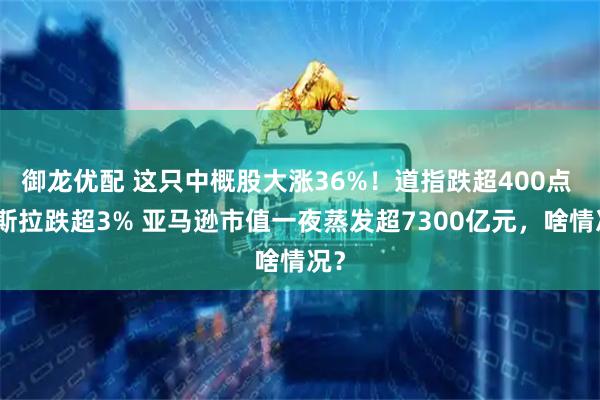 御龙优配 这只中概股大涨36%！道指跌超400点 特斯拉跌超3% 亚马逊市值一夜蒸发超7300亿元，啥情况？