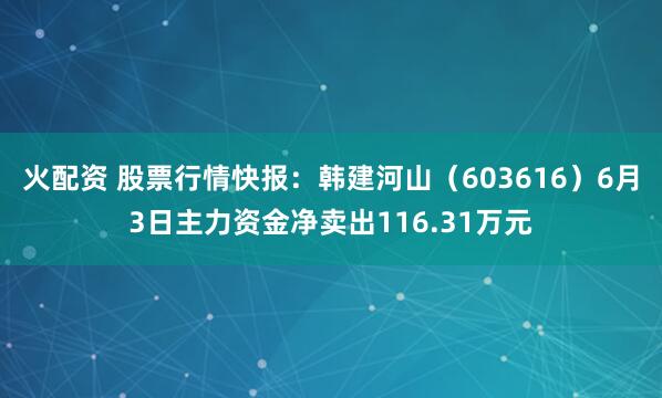 火配资 股票行情快报：韩建河山（603616）6月3日主力资金净卖出116.31万元
