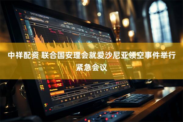 中祥配资 联合国安理会就爱沙尼亚领空事件举行紧急会议