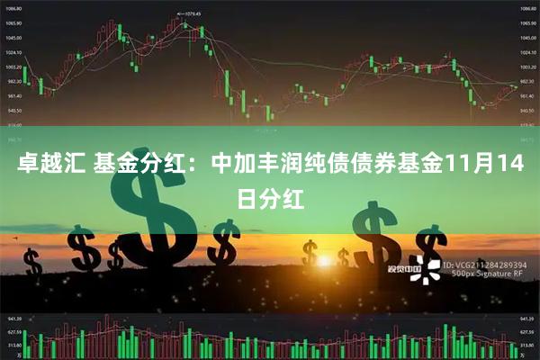 卓越汇 基金分红：中加丰润纯债债券基金11月14日分红